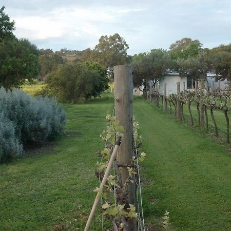 Southern Vales Bed & Breakfast Mclaren Vale Kültér fotó