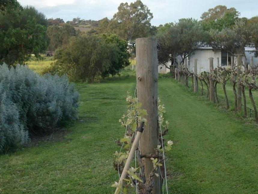 Southern Vales Bed & Breakfast Mclaren Vale Kültér fotó