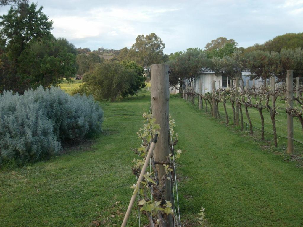 Southern Vales Bed & Breakfast Mclaren Vale Kültér fotó