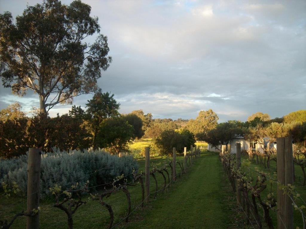 Southern Vales Bed & Breakfast Mclaren Vale Kültér fotó