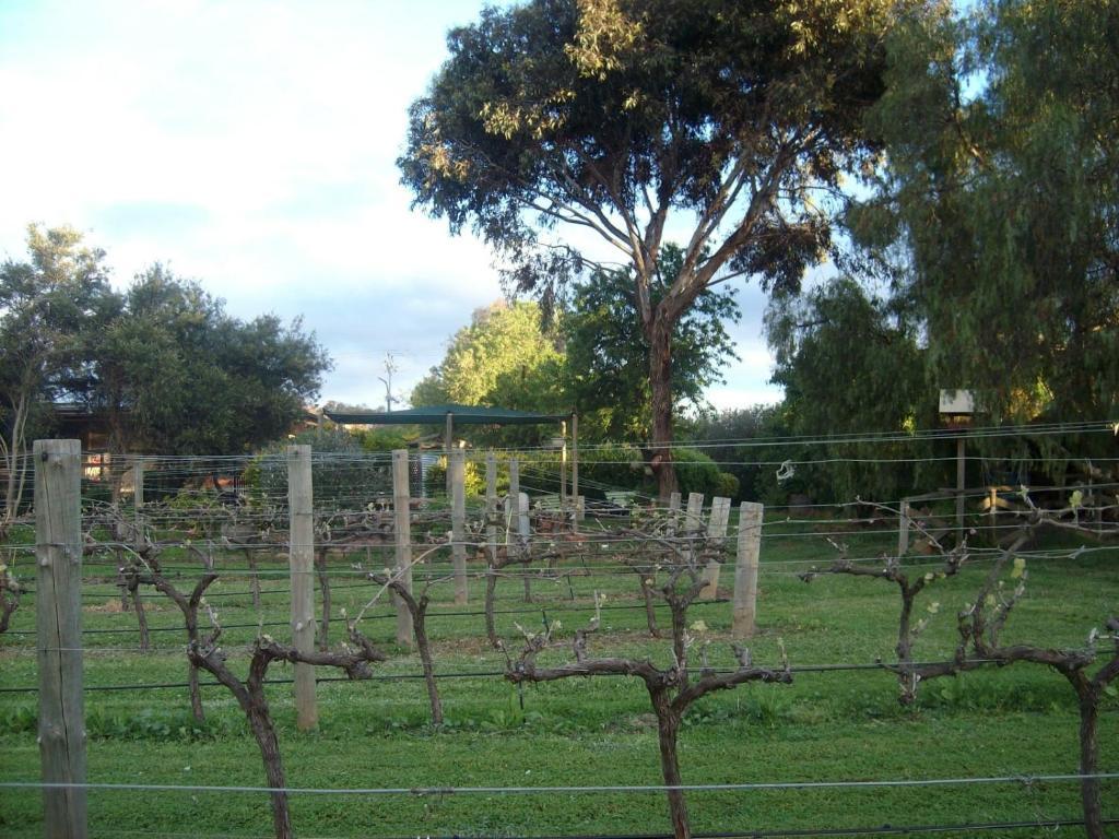 Southern Vales Bed & Breakfast Mclaren Vale Kültér fotó