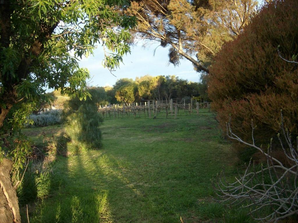 Southern Vales Bed & Breakfast Mclaren Vale Kültér fotó
